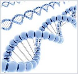 Dramatic Increase In Genetic Info On Diseases