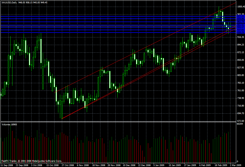 Gold Daily Commentary for 3.2.09