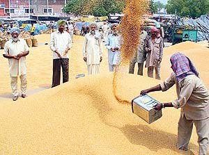 Grain-Silo-Technology