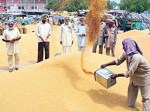 Grain-market