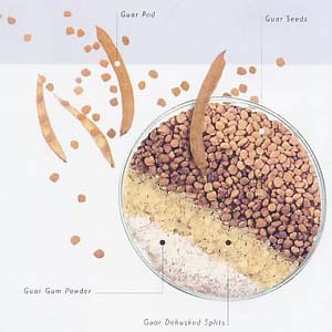 Guar