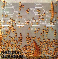 Commodity Outlook for Guar by KediaCommodity