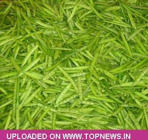 Guar Seed