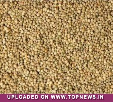 Commodity Trading Tips for Guarseed by KediaCommodity