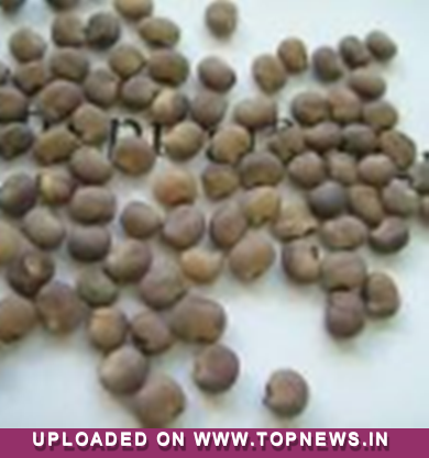 Commodity Trading Tips for Guarseed by KediaCommodity