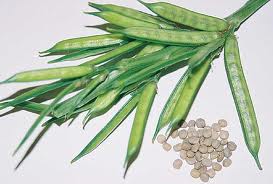 Guar
