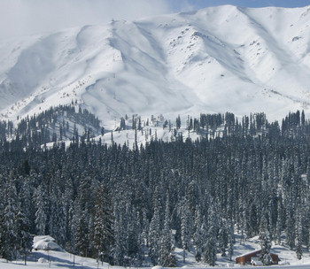 gulmarg snowfall