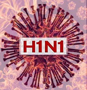 H1N1-Virus
