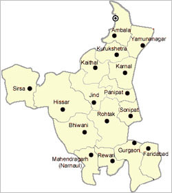 Haryana procures over 27 lakh tonnes paddy 