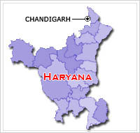 Haryana officials to monitor cases of their departments 
