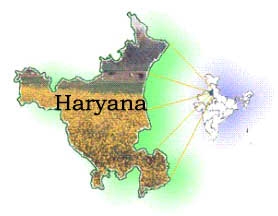 Haryana paddy arrival crosses last year's mark