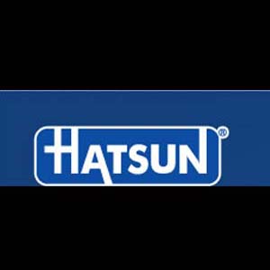 Hatsun Agro Introduces New Ice Cream With "Yummy" Flavors