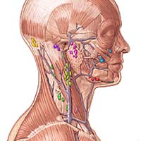 Head-neck cancer outcomes can be further hurt by Smoking