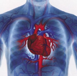 Heart-Diseases