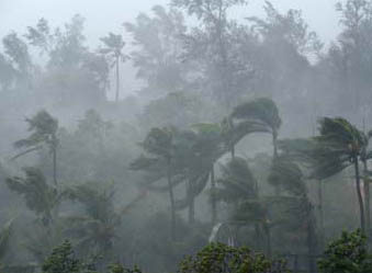 103 dead in TN rain