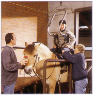 Advanced mechanical horse may revolutionise hippotherapy