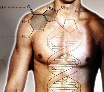 Human-Genes