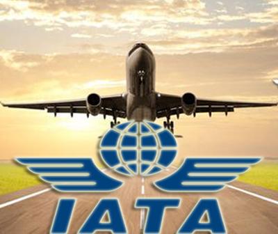 IATA: Timing of swine flu outbreak bad for airlines