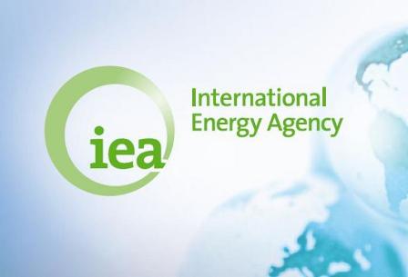 Africa needs $300 bn in power investments: IEA