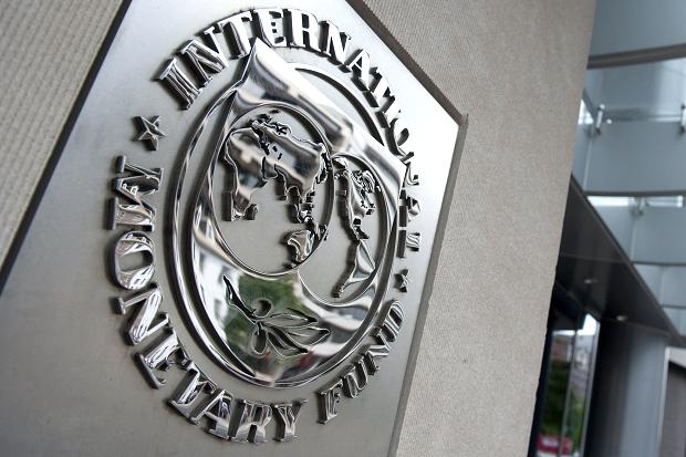 International Monetary Fund (IMF) Logo