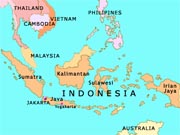 Orangutans under threat of extinction in IndonesiaOrangutans under threat of extinction in Indonesia