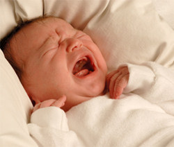 How infant pain has repercussions in adulthood