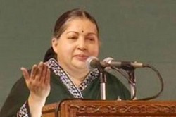 Tamil Nadu to get Stem Cell Research Centre for animals 
