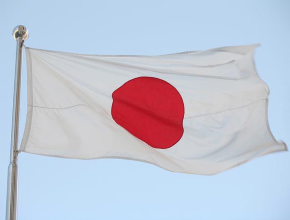 Japan fails to reach whale hunt target due to obstruction 