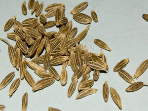 Commodity Outlook for Jeera by KediaCommodity