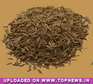 Commodity Trading Tips for Jeera by KediaCommodity