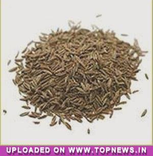 Commodity Trading Tips for Jeera by KediaCommodity