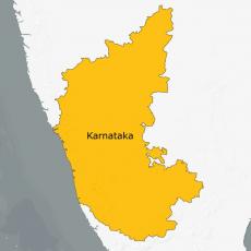 Karnataka confirms four more swine flu deaths