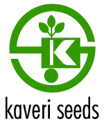 Kaveri Seeds