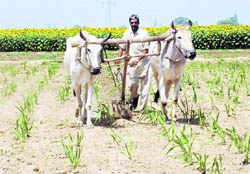 Latest farming techniques for India advocated