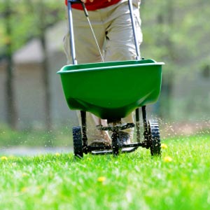 Lawn fertilizer ban improves water quality in US