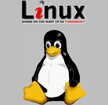 Choose your netbook Linux variant carefully 