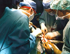 Liver-Transplant