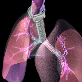 Acute lung injury? Stem cell therapy may help 