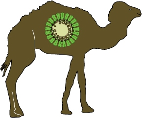 MERS