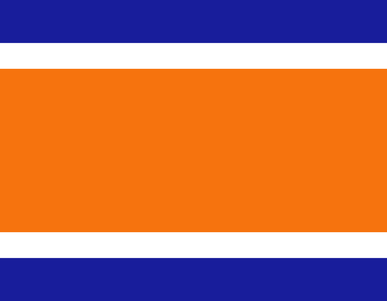 MNS The Maharashtra Navnirman