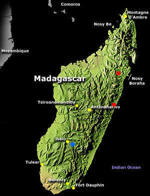 Thousands demonstrate in Madagascar after rebel mayor ousted