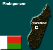 Fresh clashes in conflict-riven Madagascar 