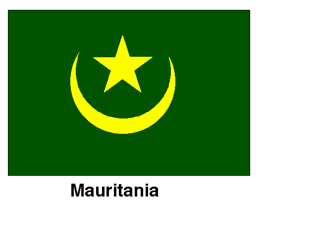 Mauritanians celebrate postponement of elections