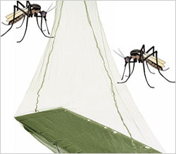 Microbial ''mosquito net'' to aid in fight against mosquito-borne disease