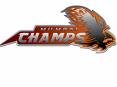 Mumbai Champs Defeated By Bengal Tigers 