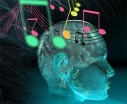 Musical brains easily pick out speech from background noise