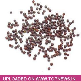 Mustard Seed