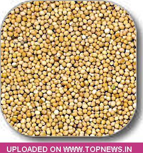 Commodity Trading Tips for Mustardseed by KediaCommodity