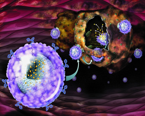 Nanoparticles in dietary supplements can be harmful to environment
