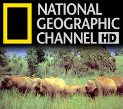 National Geographic Channel focuses on Myanmar elephants
